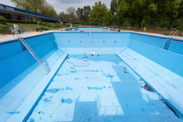 Best Water damage contractors near me  in New Hope, AL