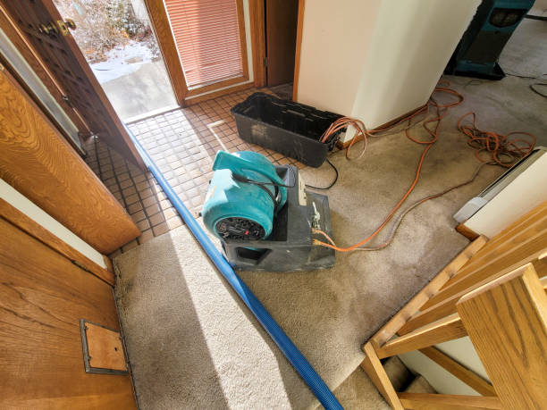 Best Water damage restoration near me  in New Hope, AL