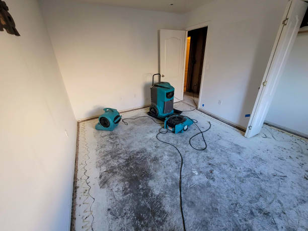 Best Fire Damage Restoration  in New Hope, AL