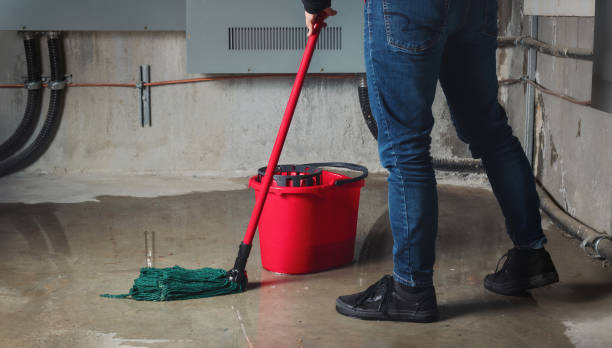 Best Flood damage cleanup  in New Hope, AL