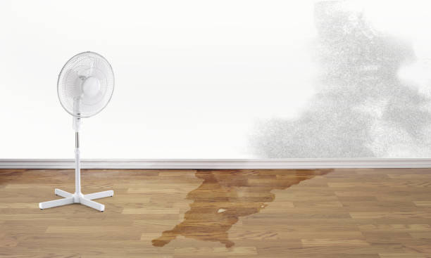 Best Commercial water damage restoration  in New Hope, AL