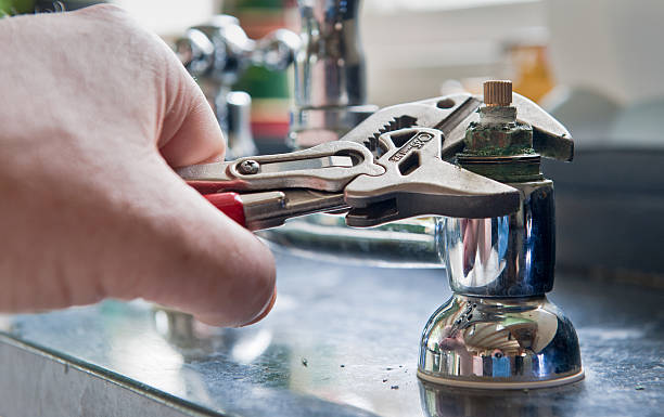 Best Flooded house restoration  in New Hope, AL