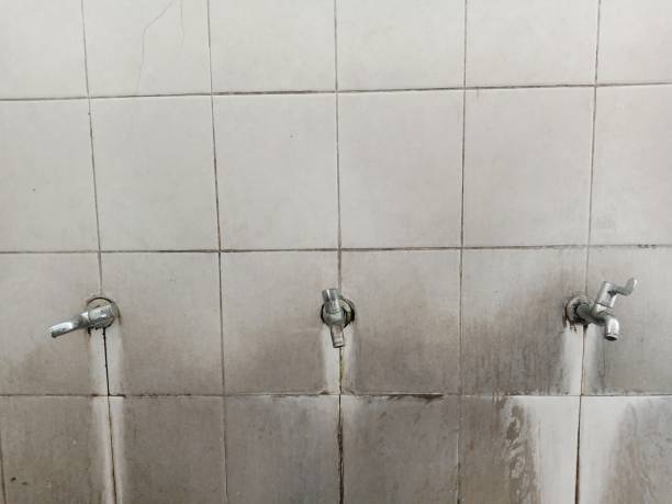 Best Water damage cleanup near me  in New Hope, AL