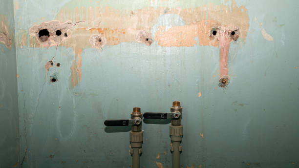 Best 24-hour water damage restoration  in New Hope, AL