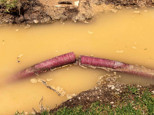 Best Residential water damage restoration  in New Hope, AL