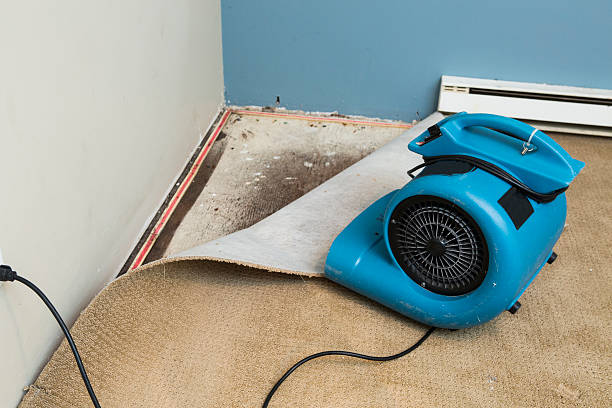 Best Ceiling water damage repair  in New Hope, AL